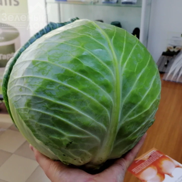 ЖС 83 F1 / JS 83 F1 фото 1