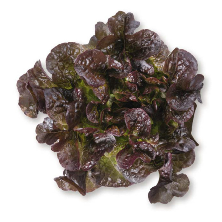 Сатурдай / Saturdaj фото 1