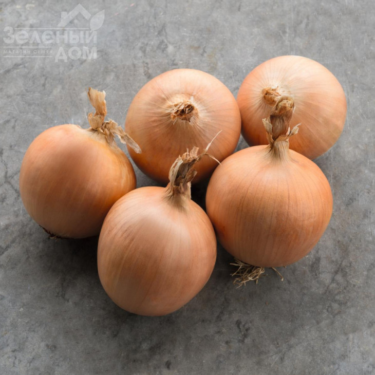 Тамара F1 / Tamara F1,108 днів фото 1