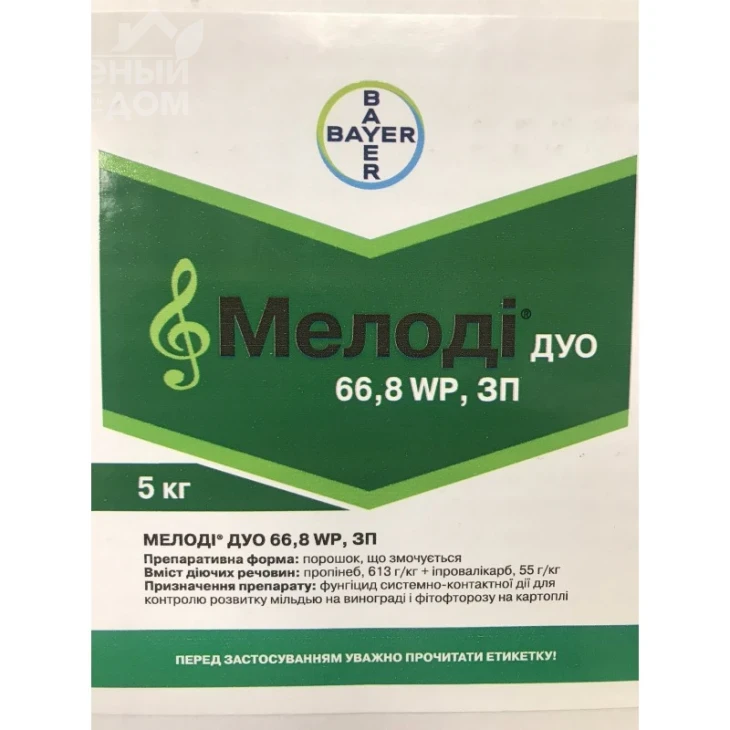 Мелоді Дуо 66,8 WP, ЗП / Melody Duo 66,8 WP, ЗП фото 1