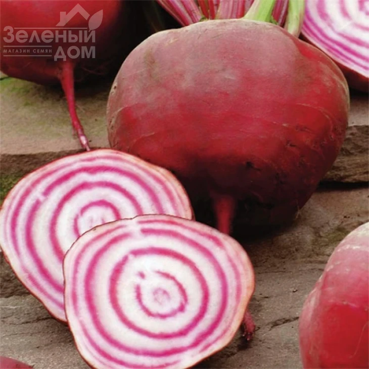 Тонда Ди Кьожа / Tonda di Chioggia фото 2