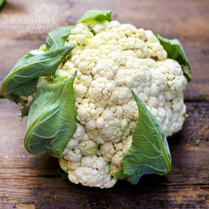 Уніботра / Unibotra, 90-120 днів фото 1