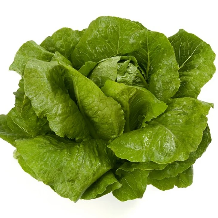 Викторинус / Victorinus фото 1