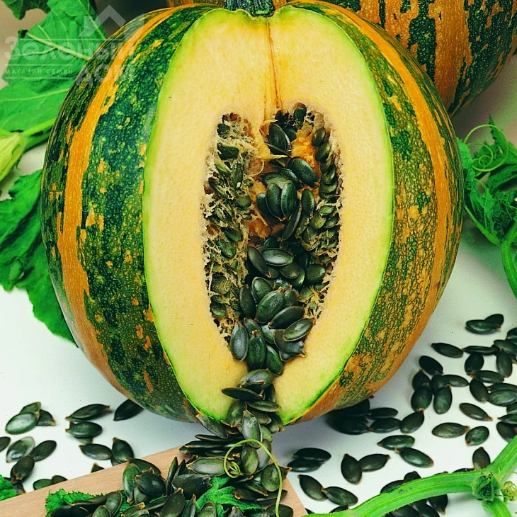 Ольга / Olga фото 1