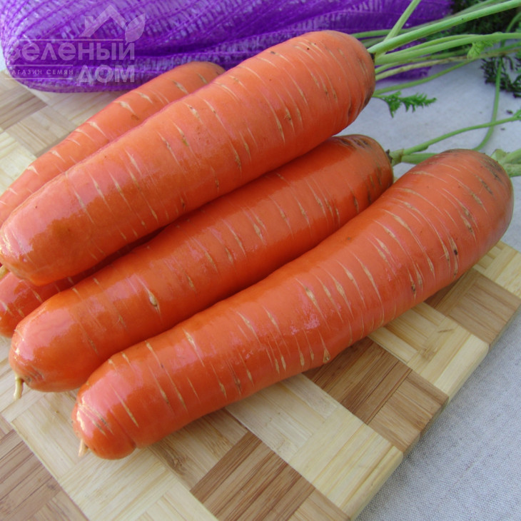 Кнота F1 / Knota F1, 95-100 днів фото 1