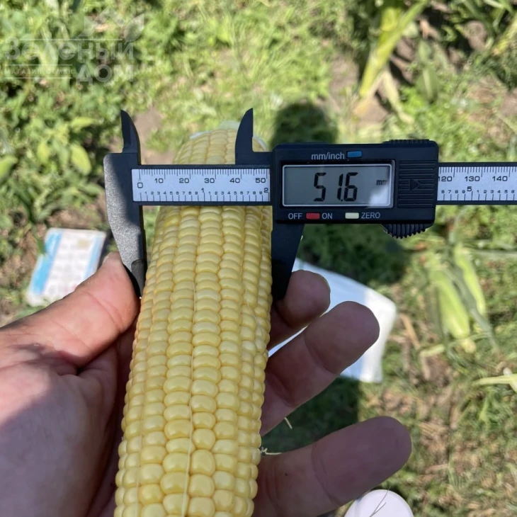 Апачи F1 / Apachi F1  фото 3