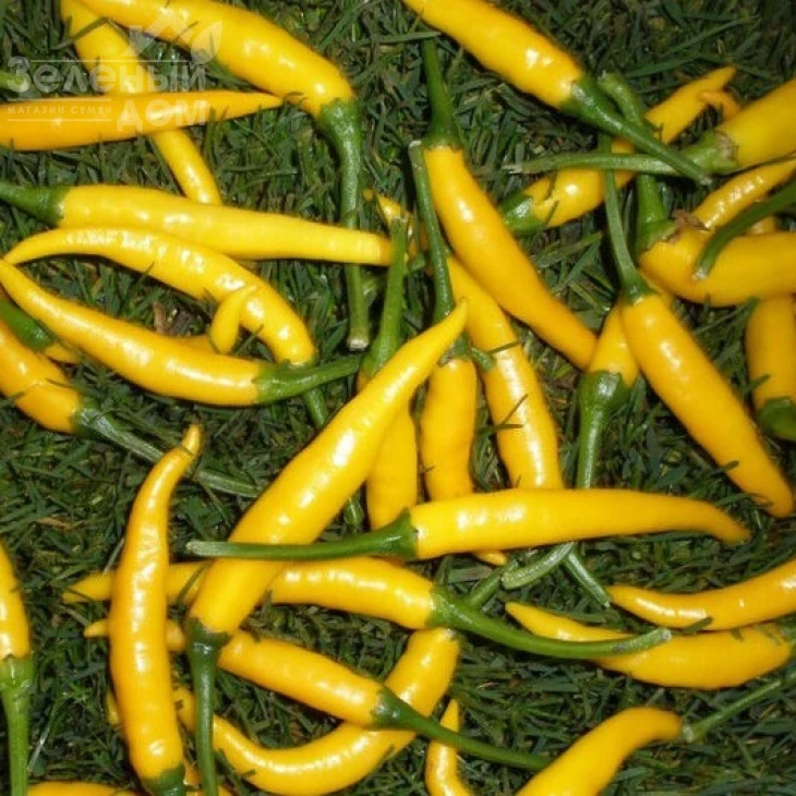 Кристиан / Kristian, 70-80 дней фото 1