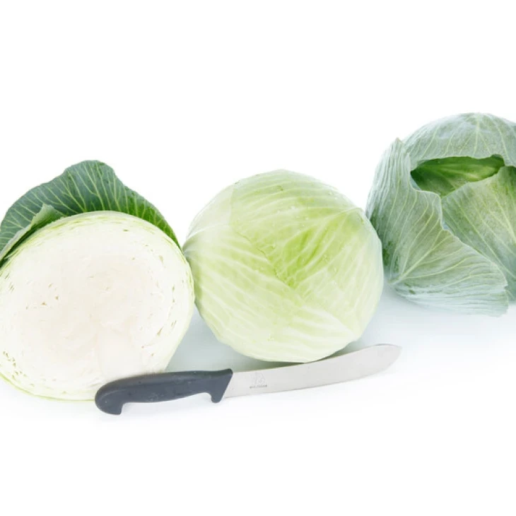 Владима F1 / Vladima F1, 130 дней фото 4