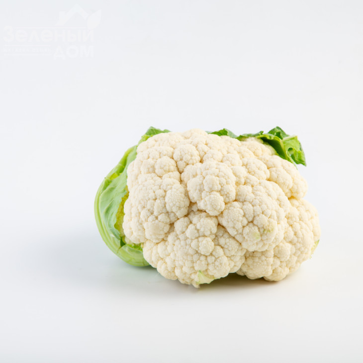 Абені F1 / Abeni F1,63 дні фото 1