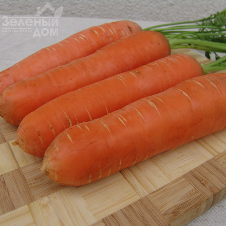 Берліка F1 / Berlika F1,105-110 днів фото 1