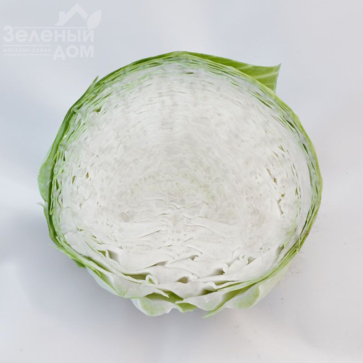 Кіласіс F1 / Kilasis F1 фото 3