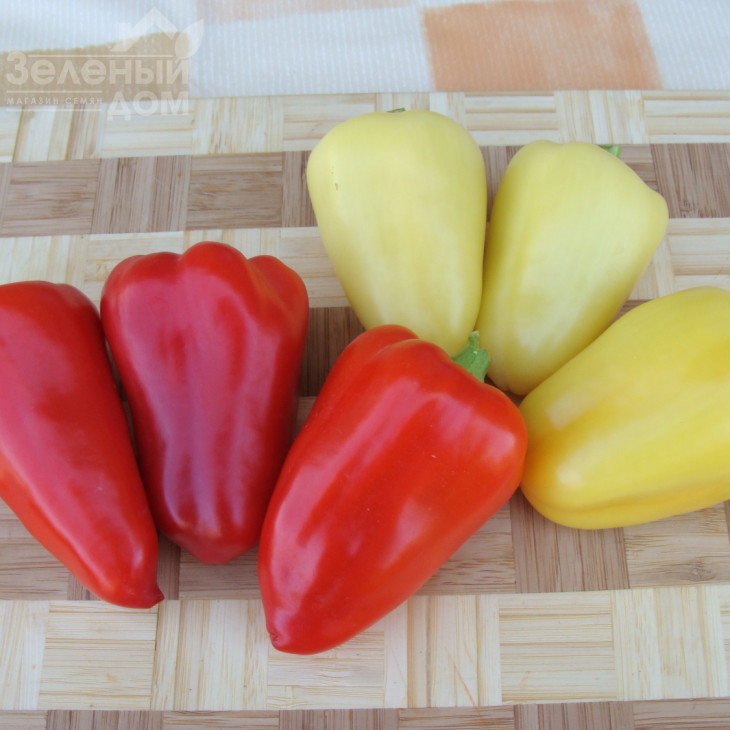 Злата / Zlata фото 1