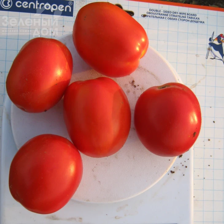 Реди F1 / Redi F1,70 дней фото 1