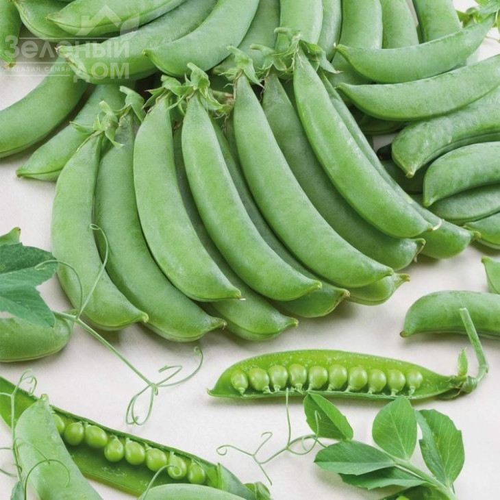 Алоха / Aloha фото 1