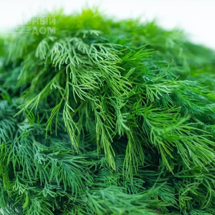 Мамонт / Mamont фото 1