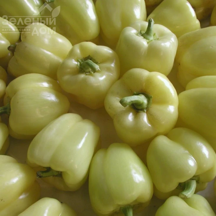 Гелби F1 / Gelby F1,70-80 дней фото 1