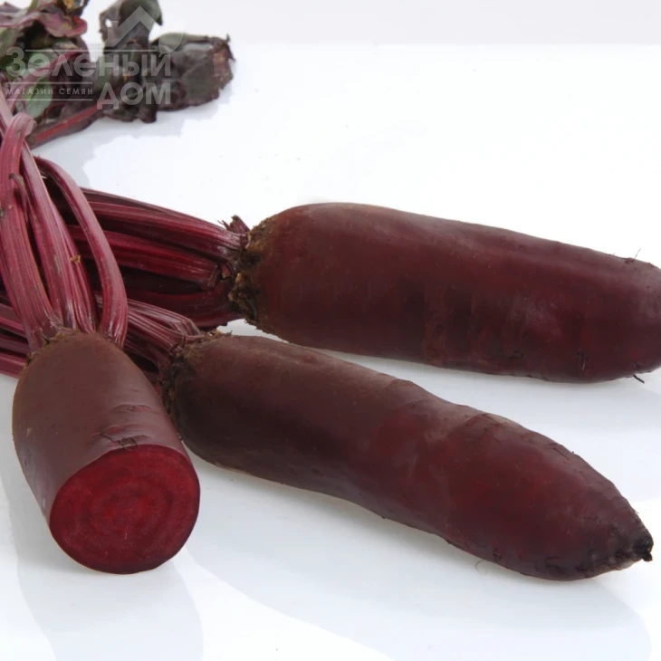 Родена F1 / Rodena F1,120-125 дней фото 1