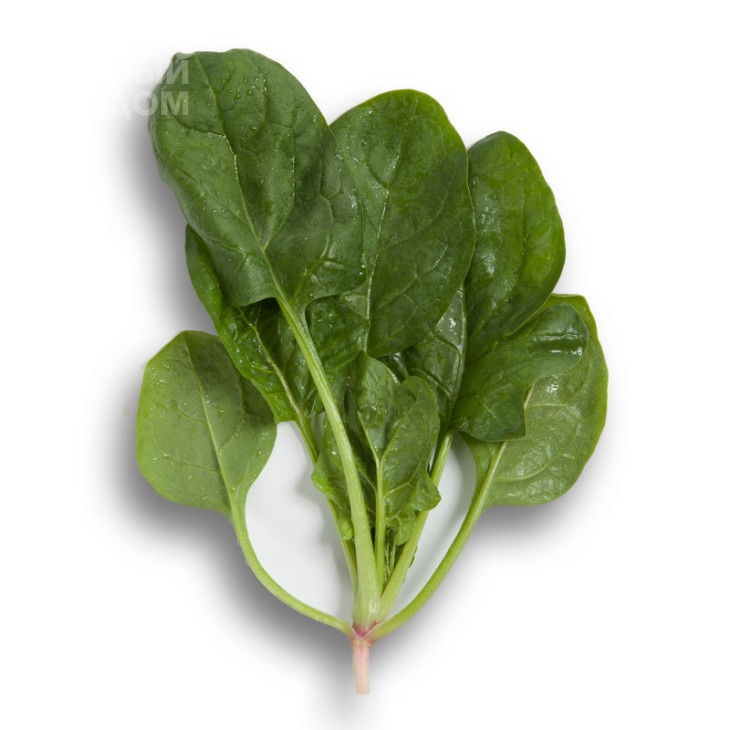 Вудпекер F1 / Woodpecker F1 фото 1