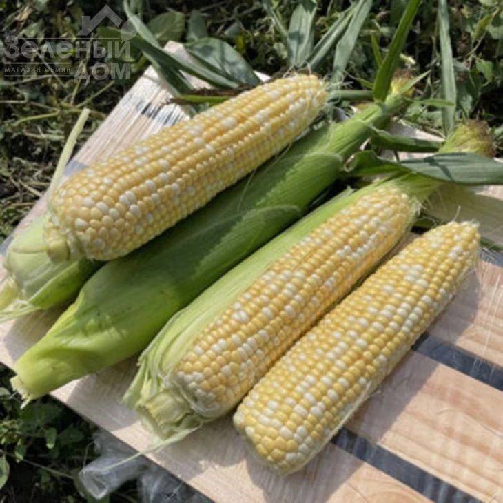 Дефендер F1 / Defender F1,74 дня фото 5