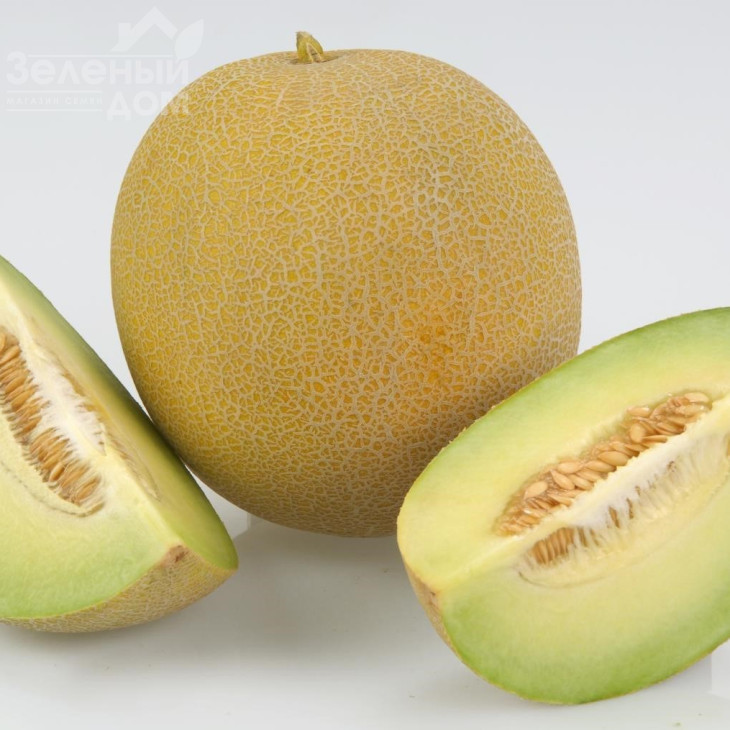 Екселор F1 / Ekselor F1, 65-70 днів фото 1