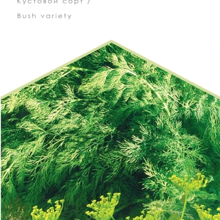 Алигатор / Aligator фото 1