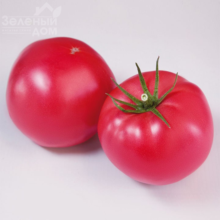 Фінлі F1 (КС 1205 F1) / Finly F1 (KS 1205 F1),105-115 днів фото 1