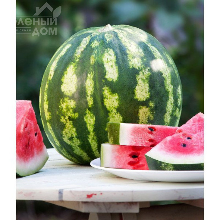 Кримсон Світ / Crimson Sweet (GRIFFATON) фото 1