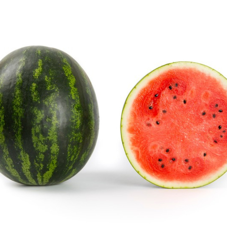 Керрол F1 / Сarroll F1,58-62 дні фото 1