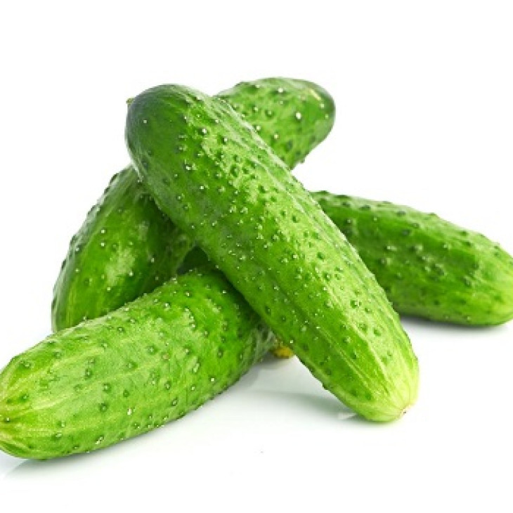 Антісіпатор F1 / Antisipator F1, 38-39 днів фото 2