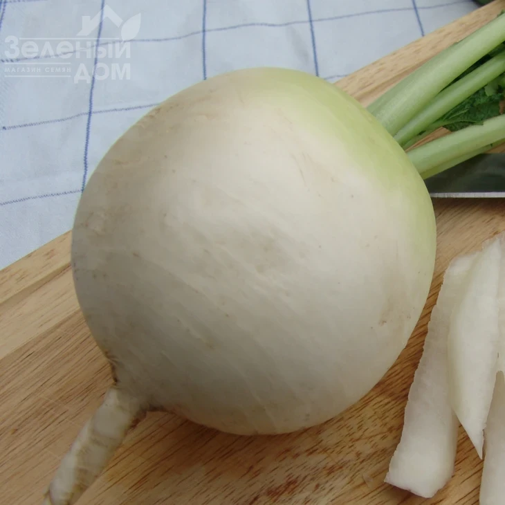 Акорд / Acord,55-65 дней фото 1