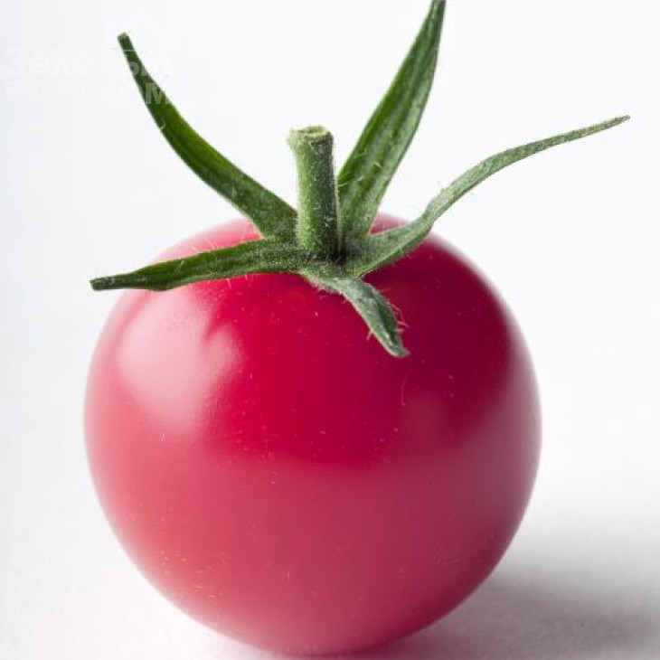 Ріанна F1 / Rianna F1,100-110 днів фото 1