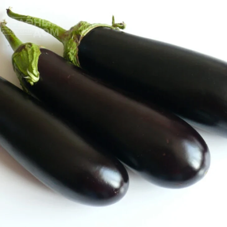 Миринда F1 / Mirinda F1, 80 дней фото 1