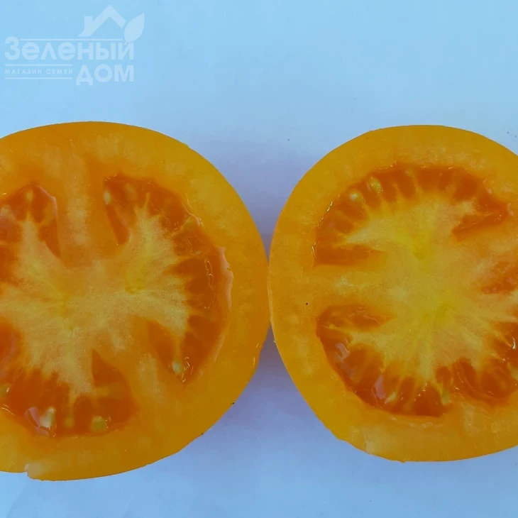 Гоби F1 / Gobi F1, 65-70 дней фото 3