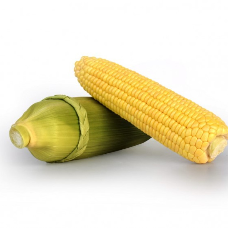 Макарон F1 / Macarone F1, 77-81 день фото 1