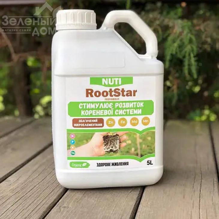 РутСтар / RootStar фото 1