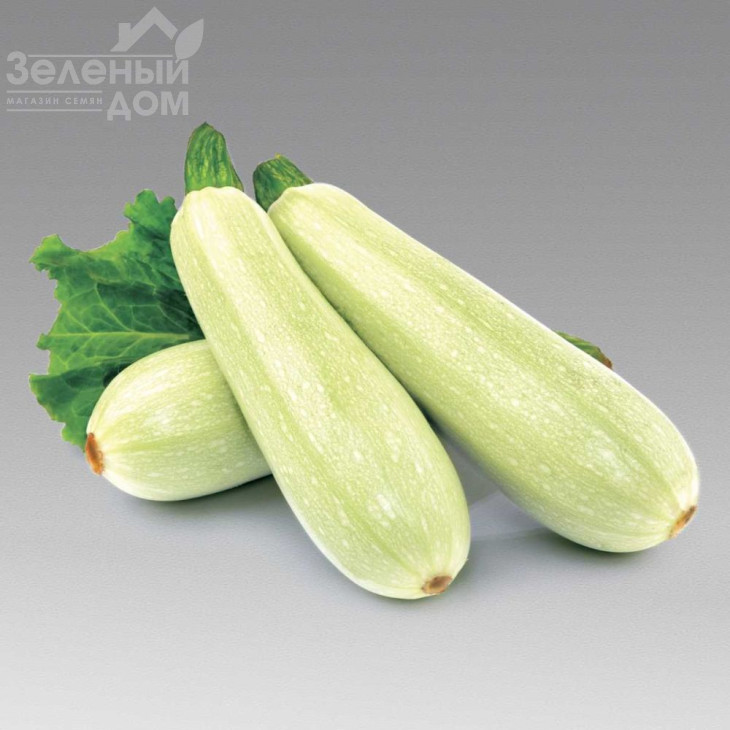 Кавілі F1 / Cavili F1,42-44 дні фото 2