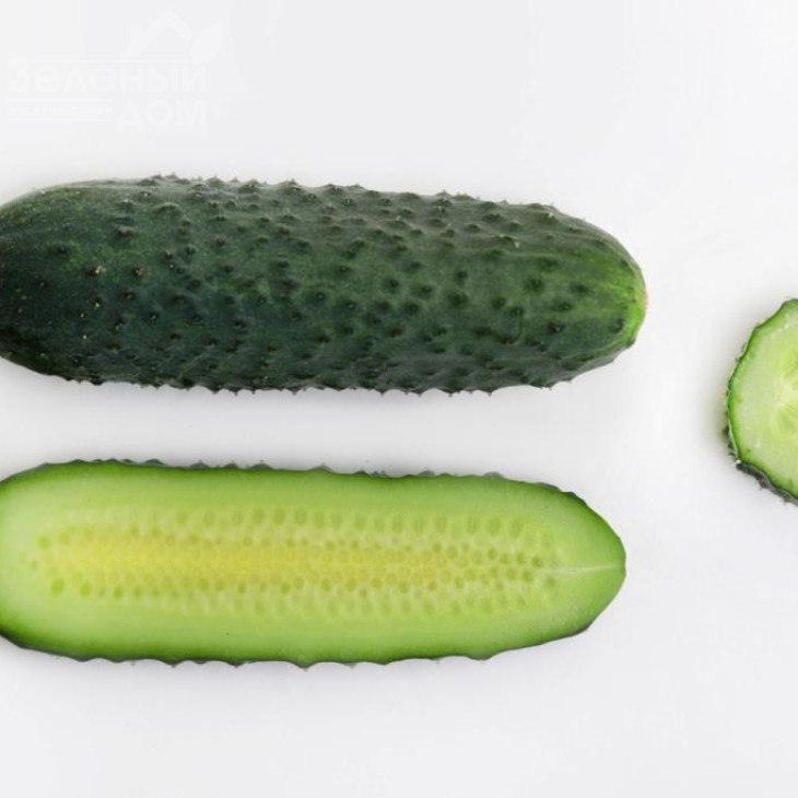 Джуніор F1 (LS 1906) / Junior F1 (LS 1906) фото 7