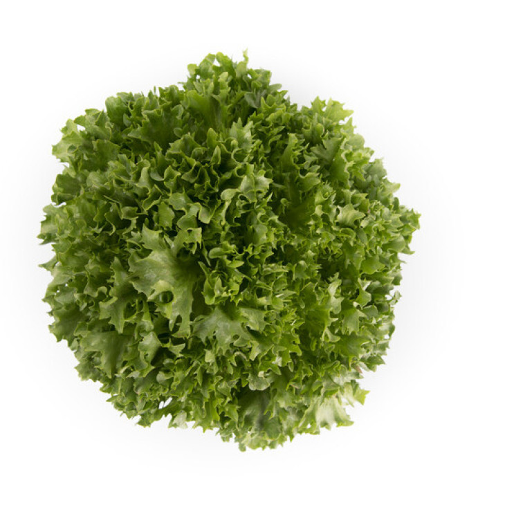 Експонент / Exponent фото 1