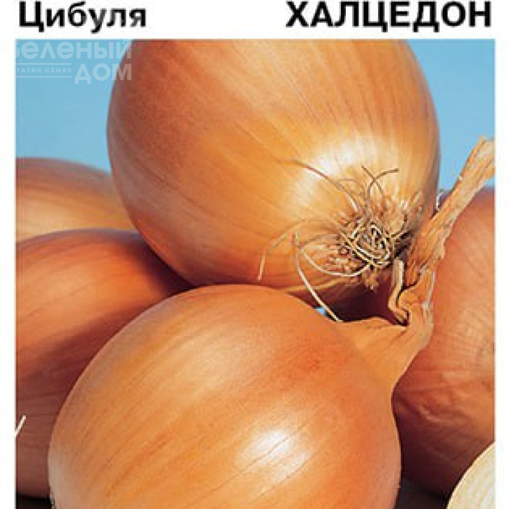 Халцедон / Chalcedony фото 2