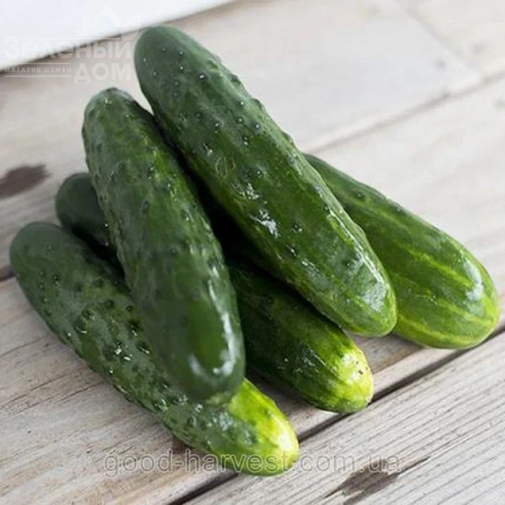 Ловели F1 / Lovely F1,37 дней фото 1