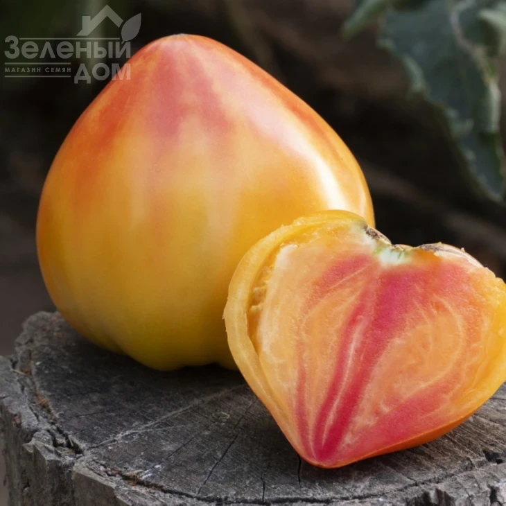 Мадрид F1 / Madrid F1 фото 1