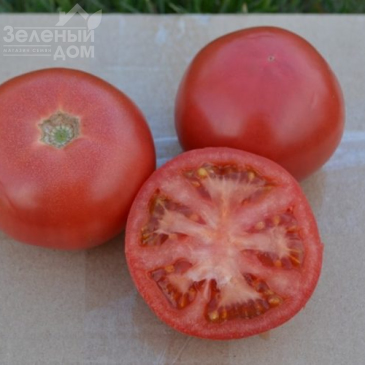 1810 F1 / 1810 F1,95 днів фото 1