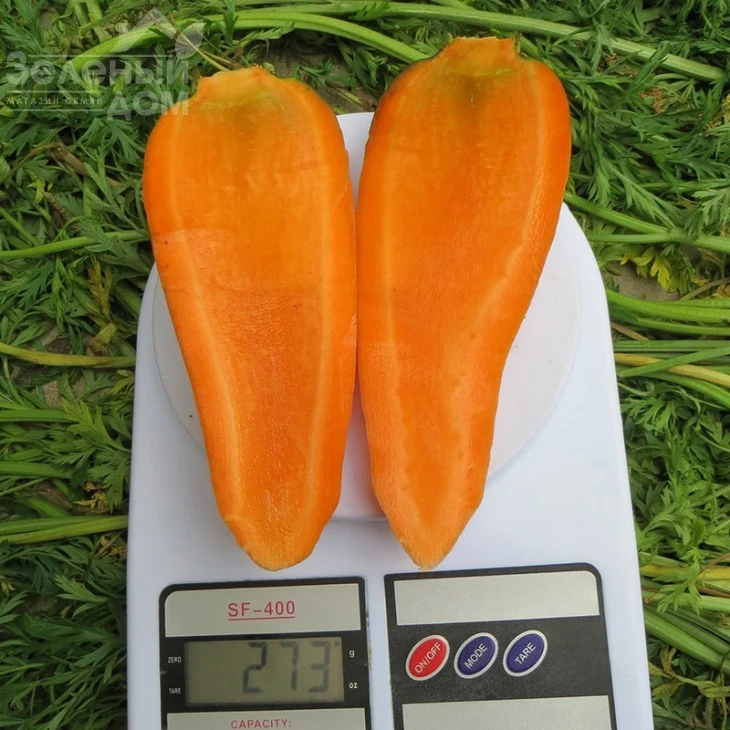 Болтекс / Boltex,110-120 дней фото 2