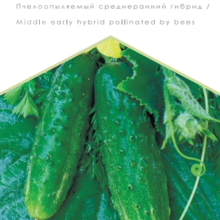 Зубренок / Zubrenok фото 1