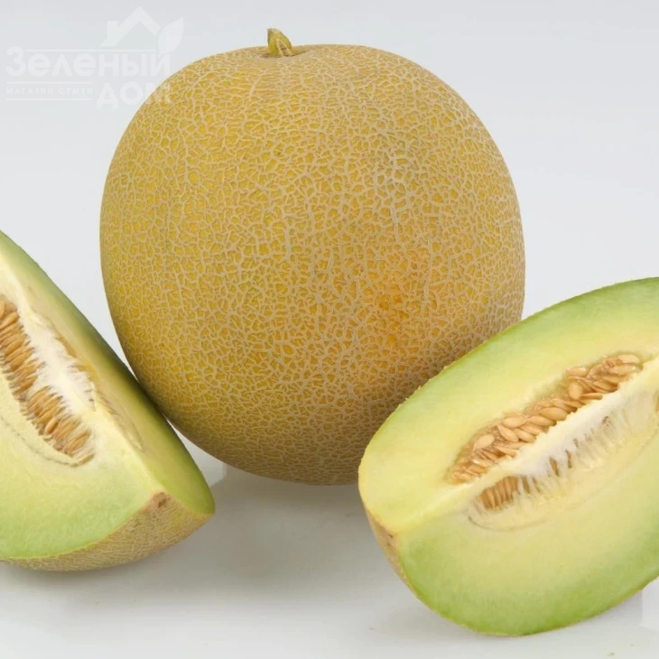 Экселор F1 / Ekselor F1, 65-70 дней фото 1