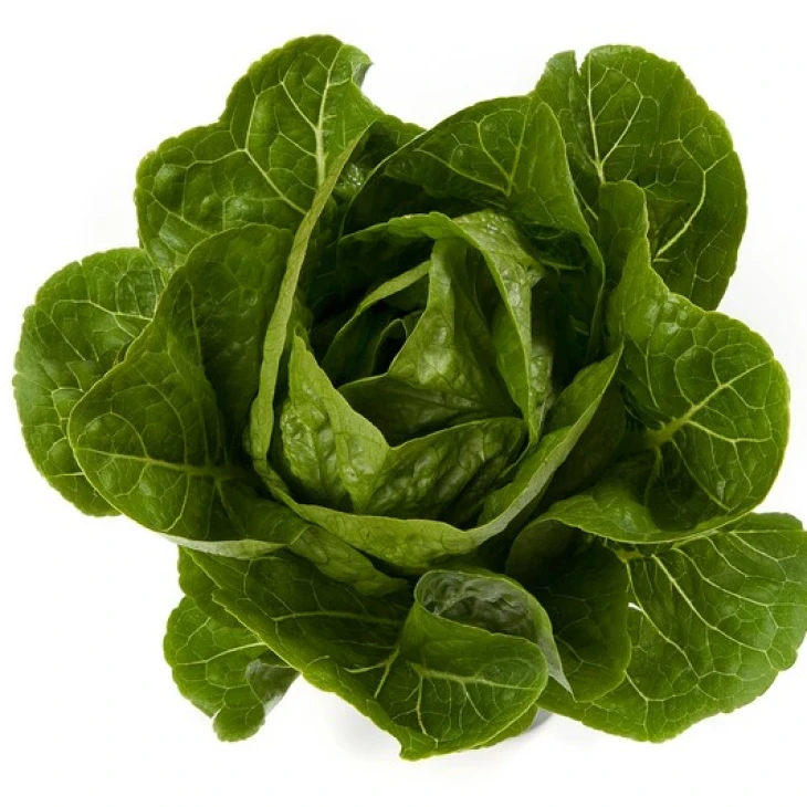 Рафаэль / Rafael фото 1