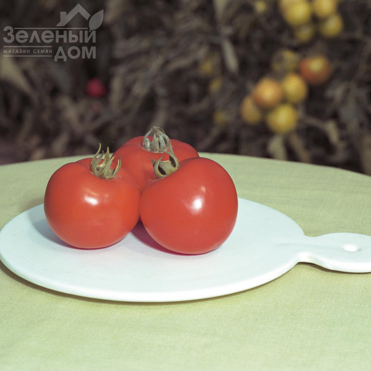 Полфаст  F1 / Polfast F1,54-58 днів фото 1