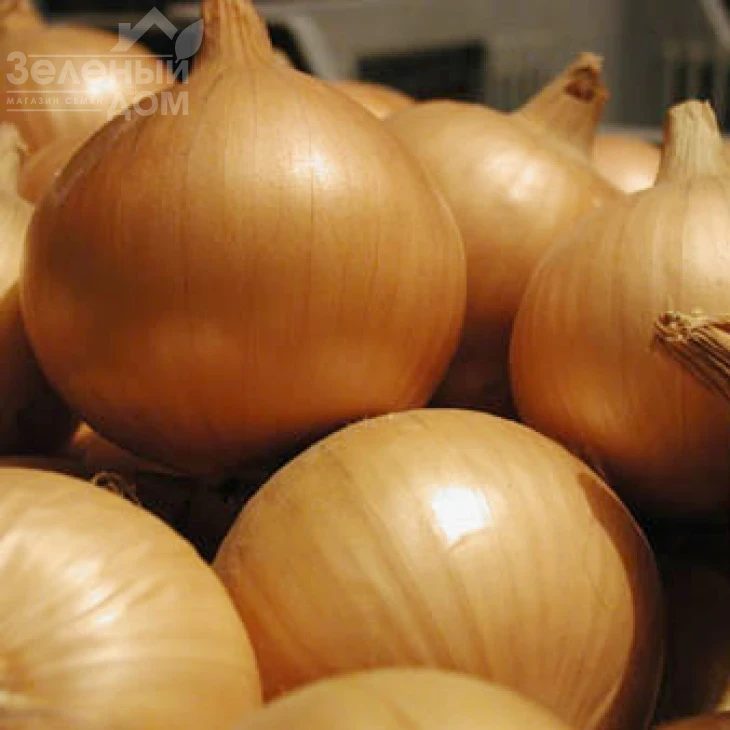 Алице / Alice,123-128 дней фото 1