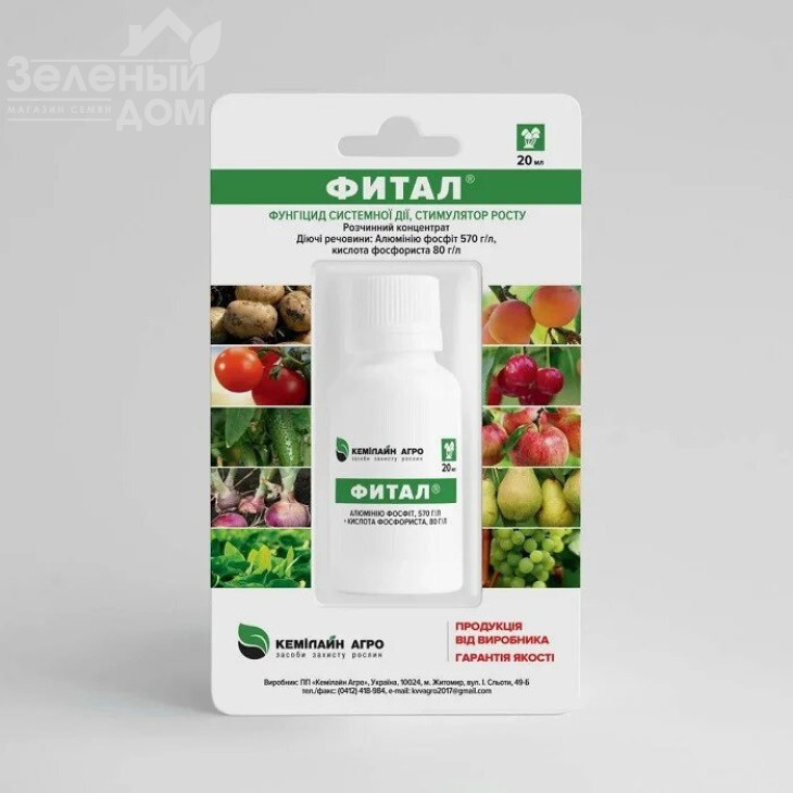 Фітал / Fital, ВК фото 1