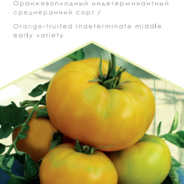 Микадо желтый / Mikado zheltyy фото 1